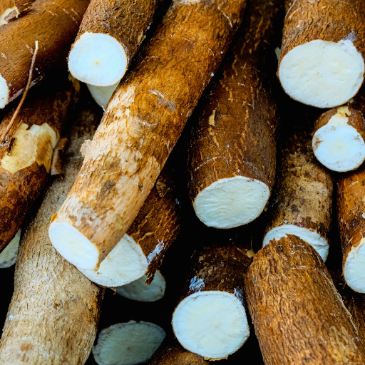 Cassava - Manioc