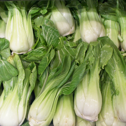 Bok Choy - Brède Tom Pouce