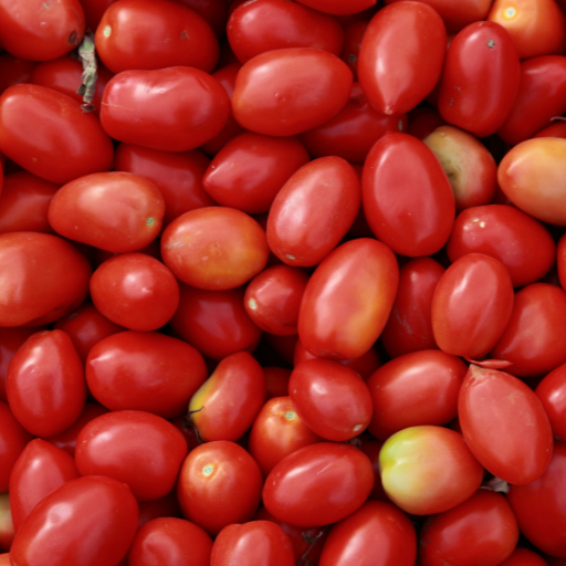 Roma Tomatoes