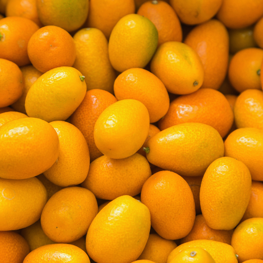 Kumquat