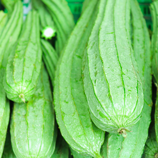 Ridge Gourd - Pipengaille