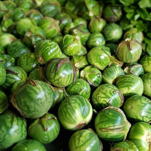 Thai Eggplant - Angive