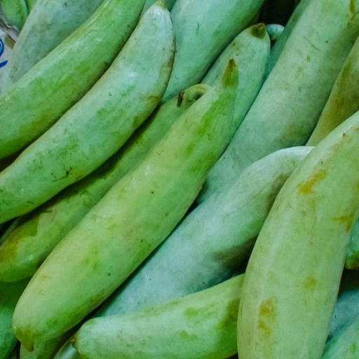 Snake Gourd - Patole